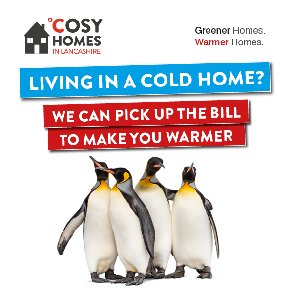 Cosy homes promotional poster, with 4 penguins