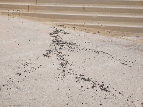 Tar ball deposits on Blackpool beach