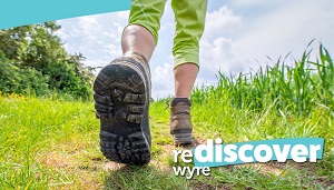 Rediscover activity