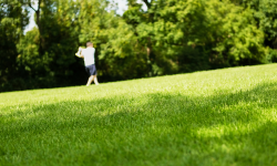 Boy playing rounders