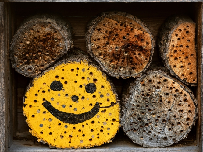 hand made and painted bug hotel