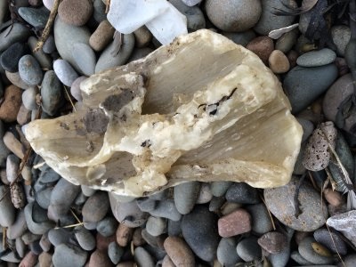 Palm oil found on beaches
