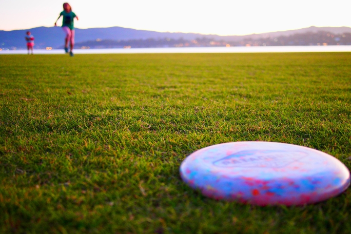 Frisbee on grass