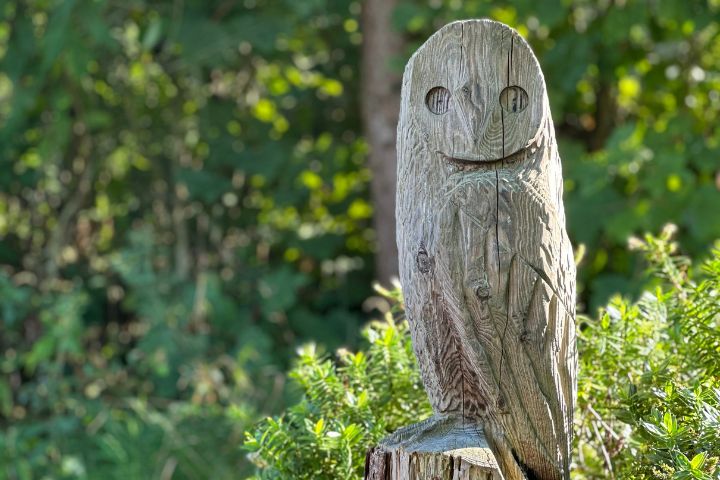 A wooden statue of an owl.