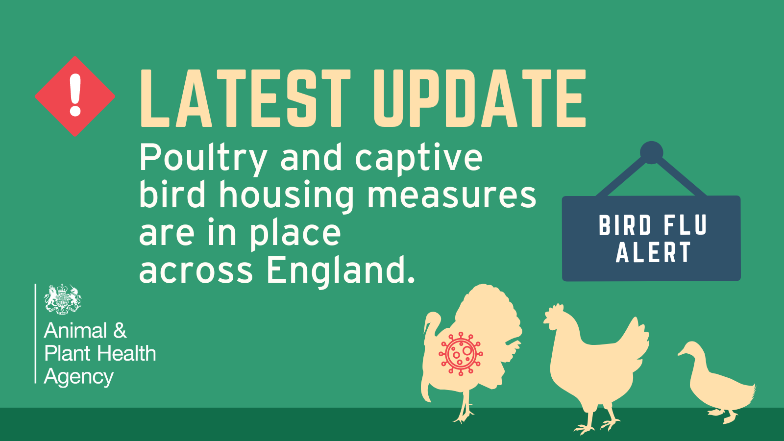 Avian Flu update poultry and captive bird housing measures are now in place