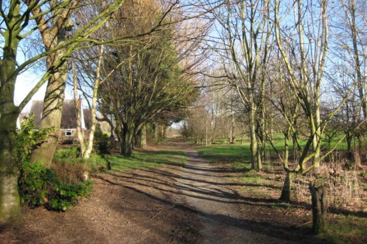 Trees at either side of a park at Bob Williamson Park in Garstang