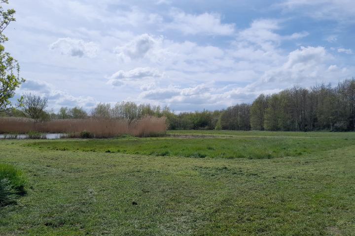 Grass fields at Branksome Avenue Thornton