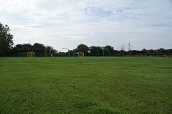 wyre grass