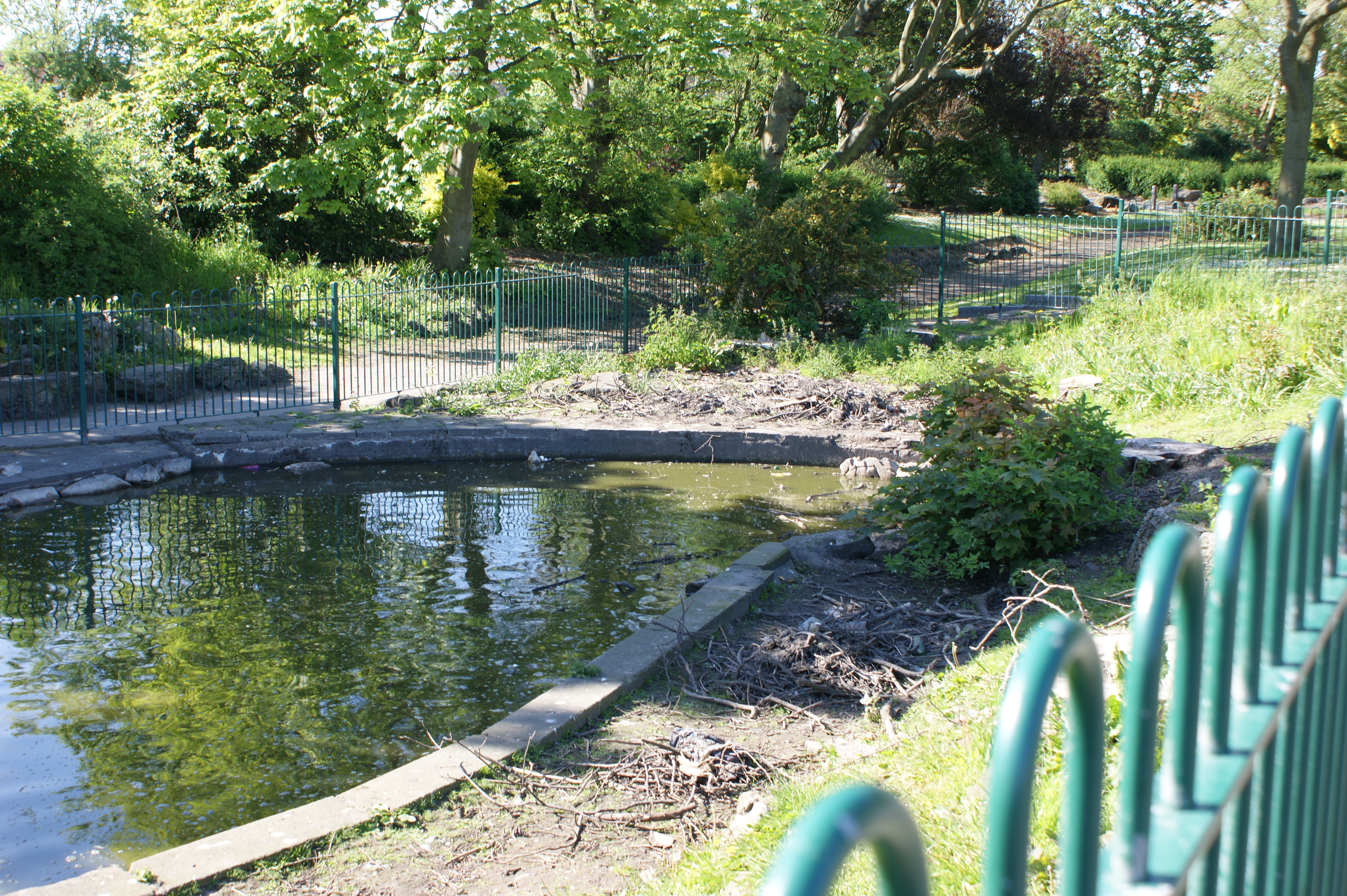 Memorial Park pond