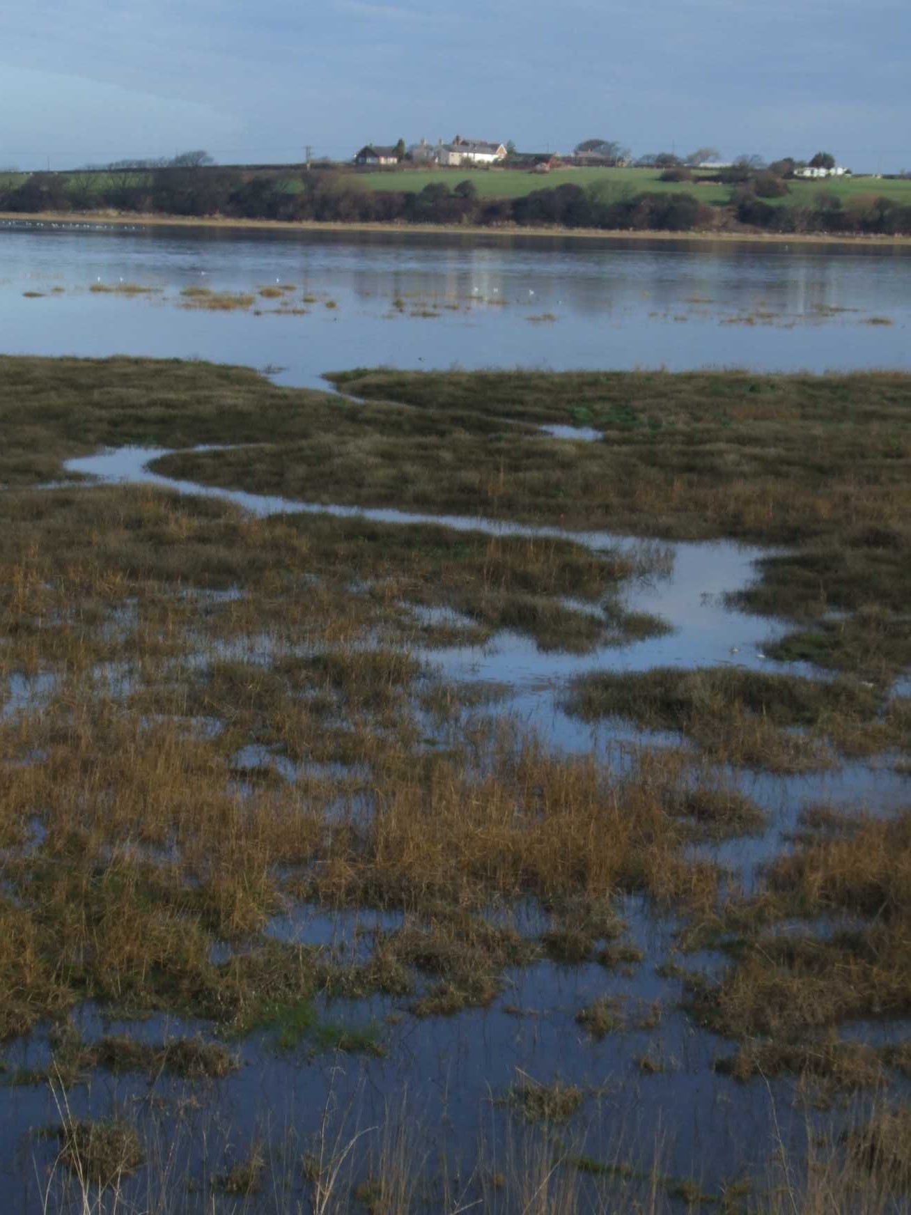 Skippool creek