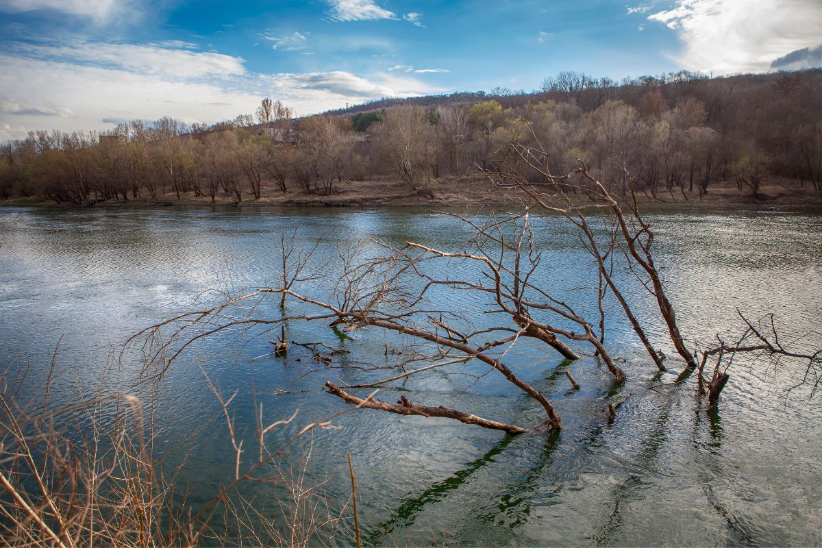 Flood management