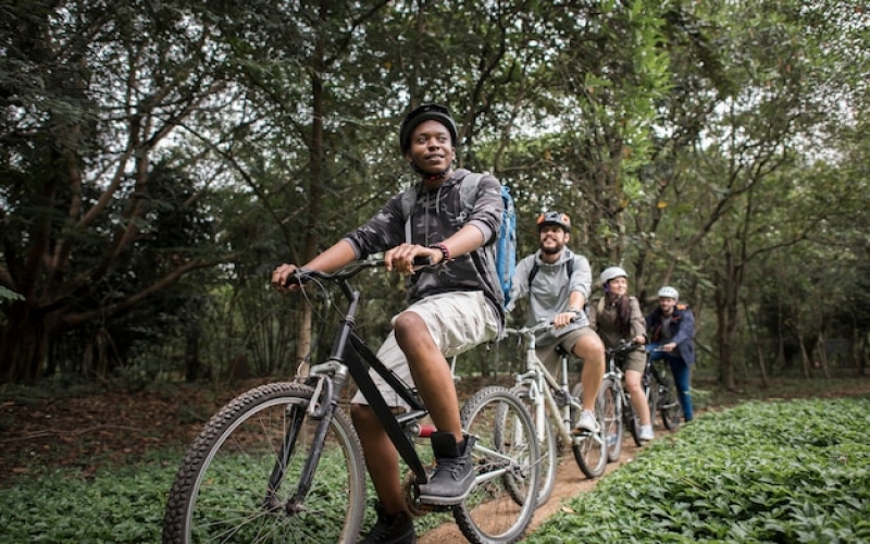A group of 4 people riding bikes in the woods