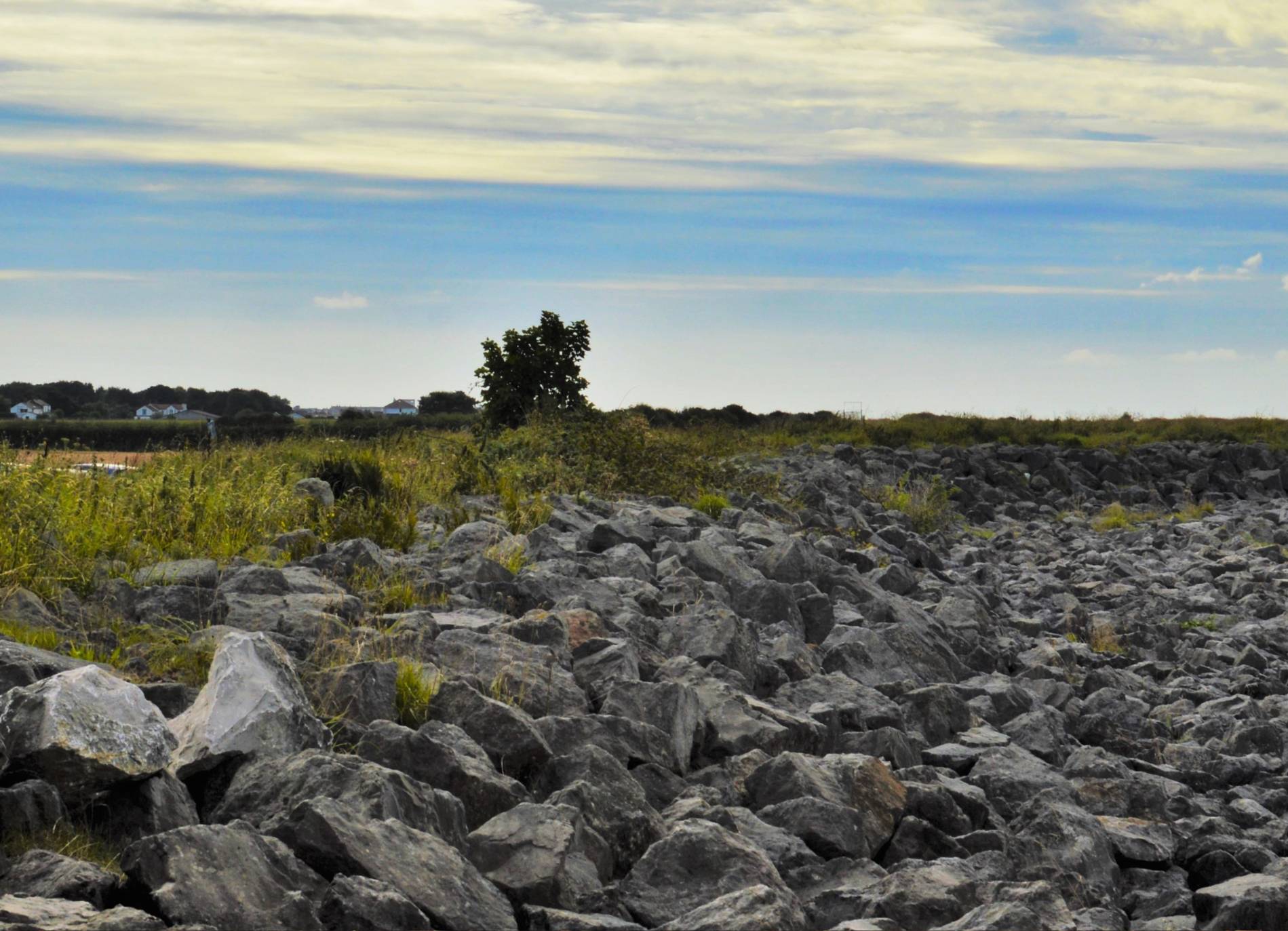 Rocks on Pilling sands