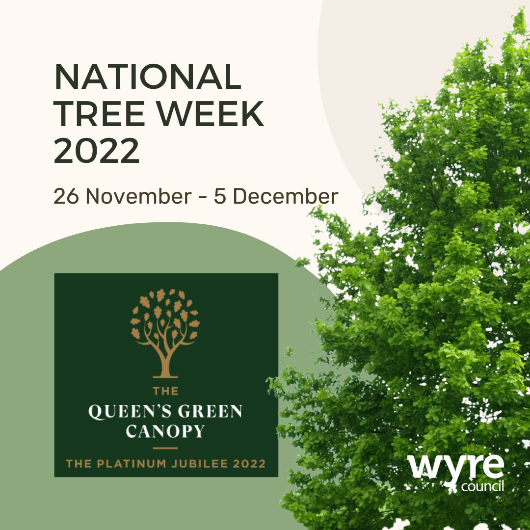 Tree Week