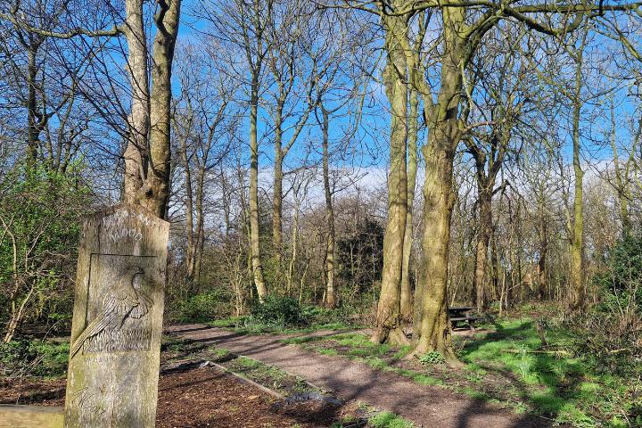 Trees at Pheasant Wood in Thornton