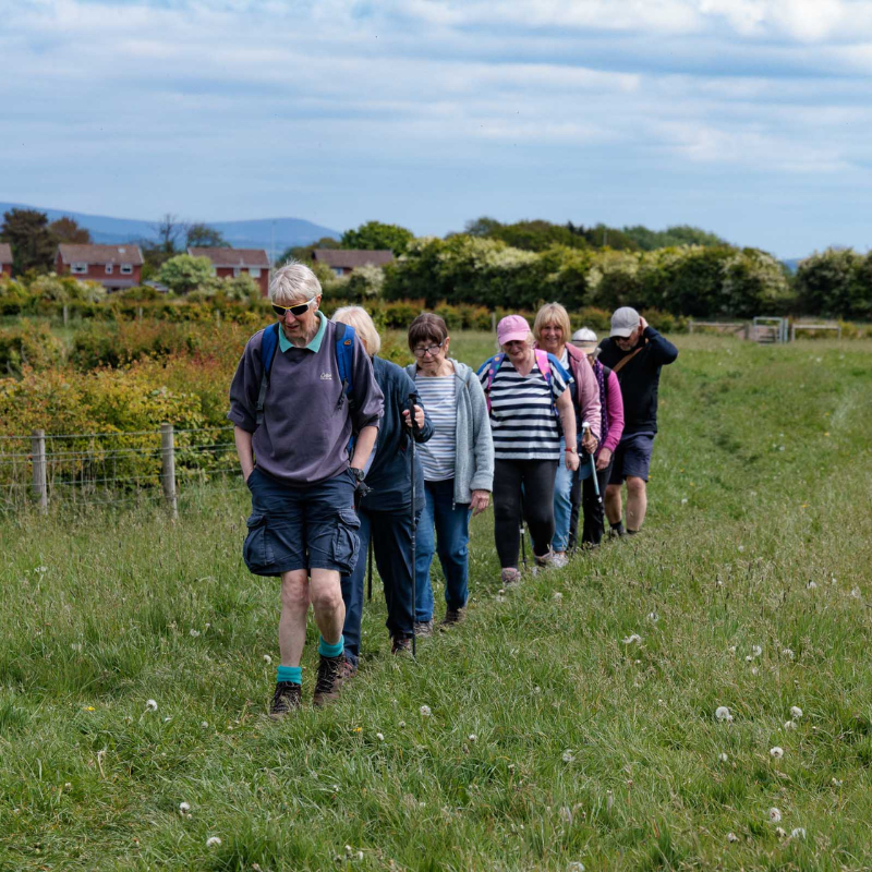 Group of people walking through fields in Pilling