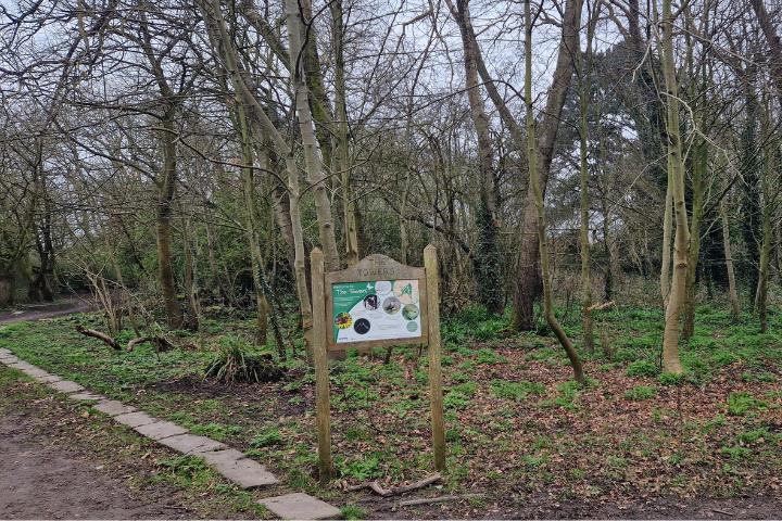 The woods at The Towers in Thornton