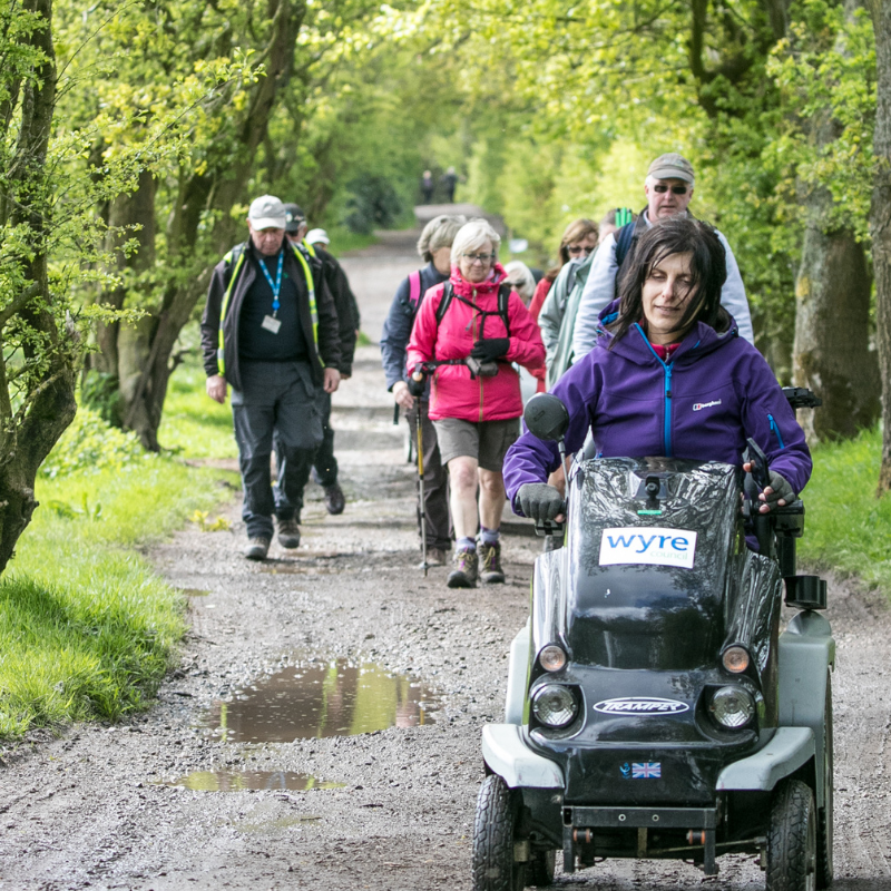 Group of people walking with tramper