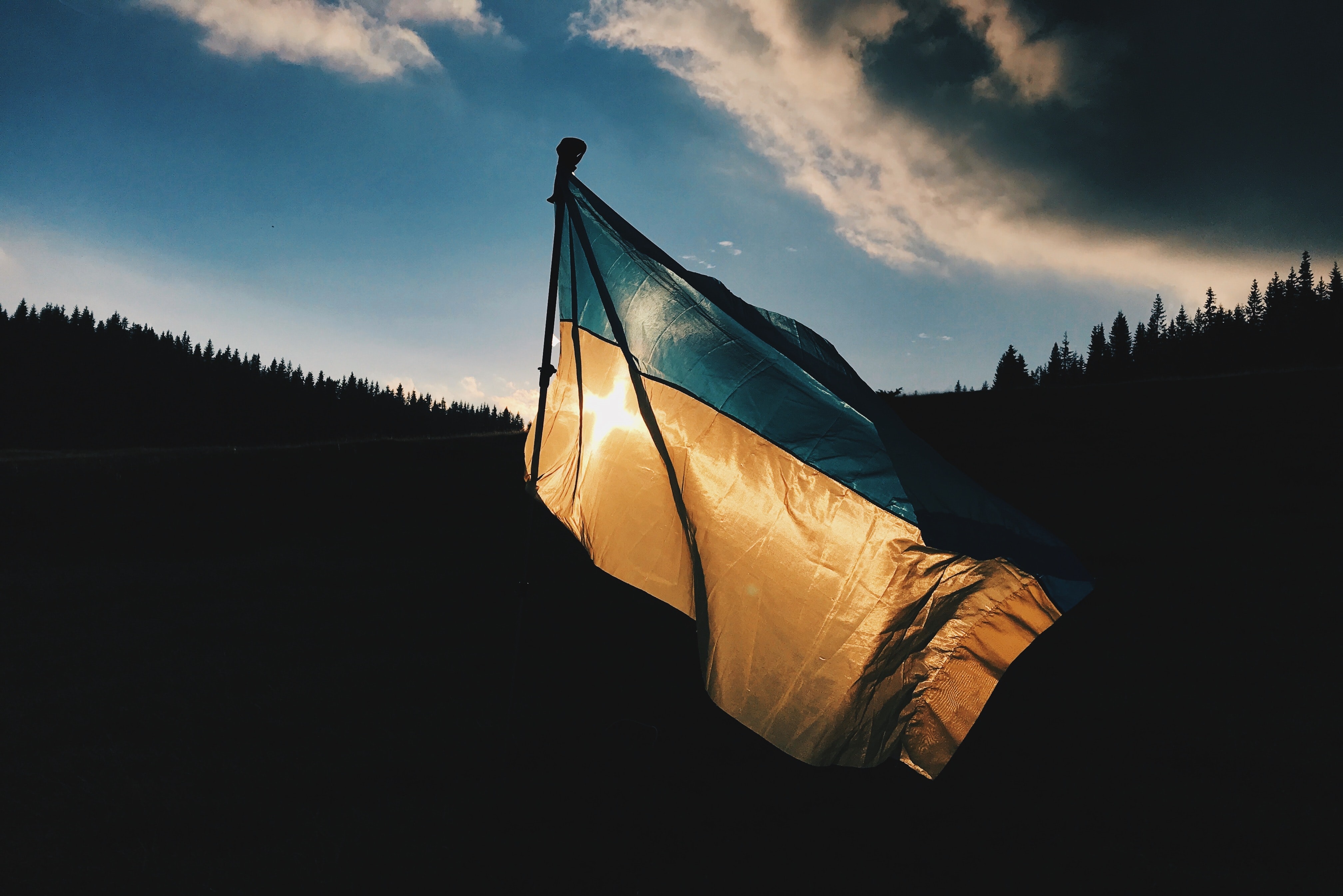 The ukraine flag