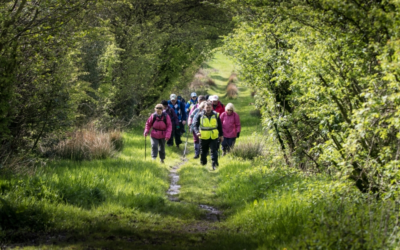 Garstang Walking Festival, walkers in a woodland setting