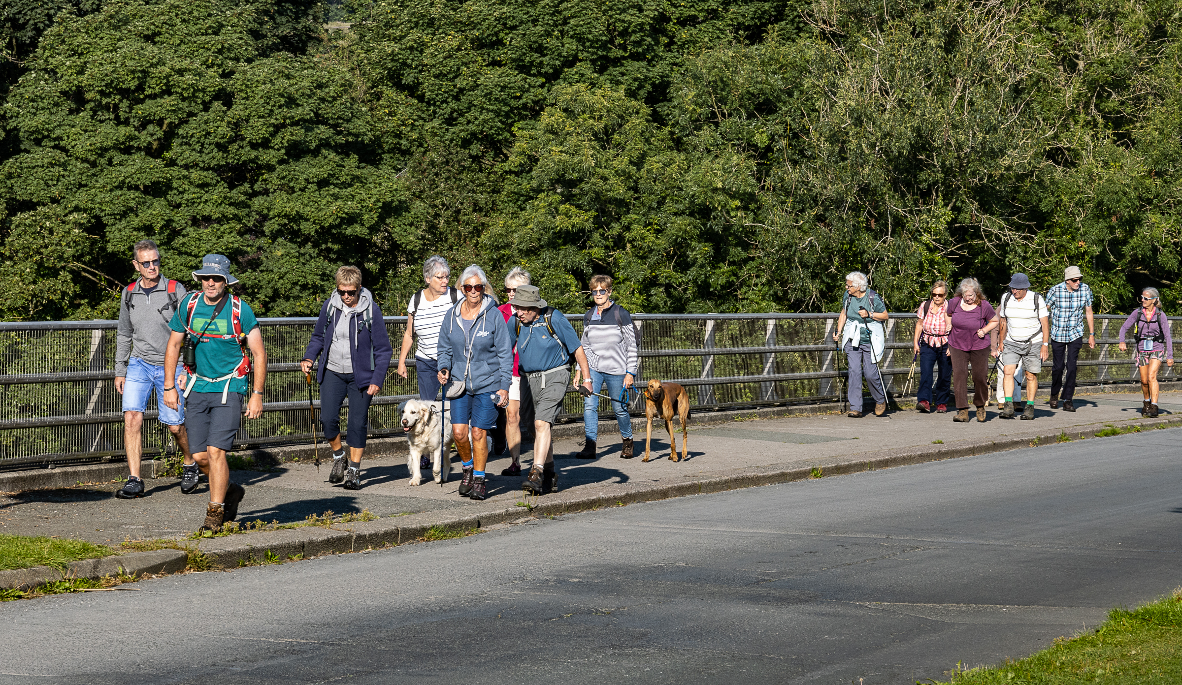 People and dogs walking across a bridge