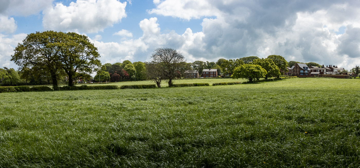 Quaker field