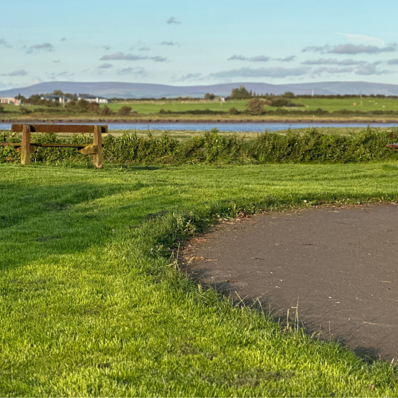 View of path at Wyre Country Estuary Park