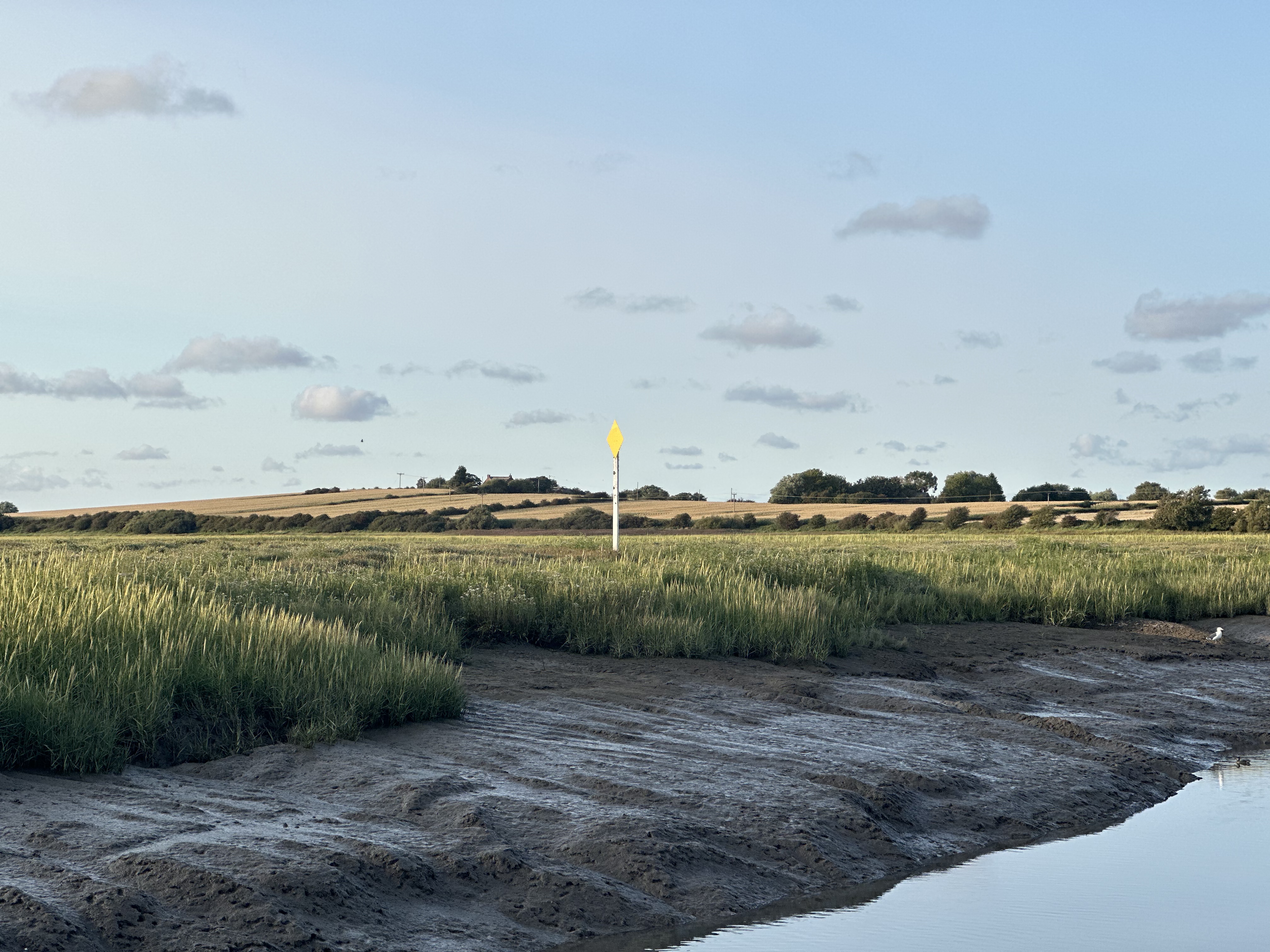 Wyre estuary country park thornton the estuary river