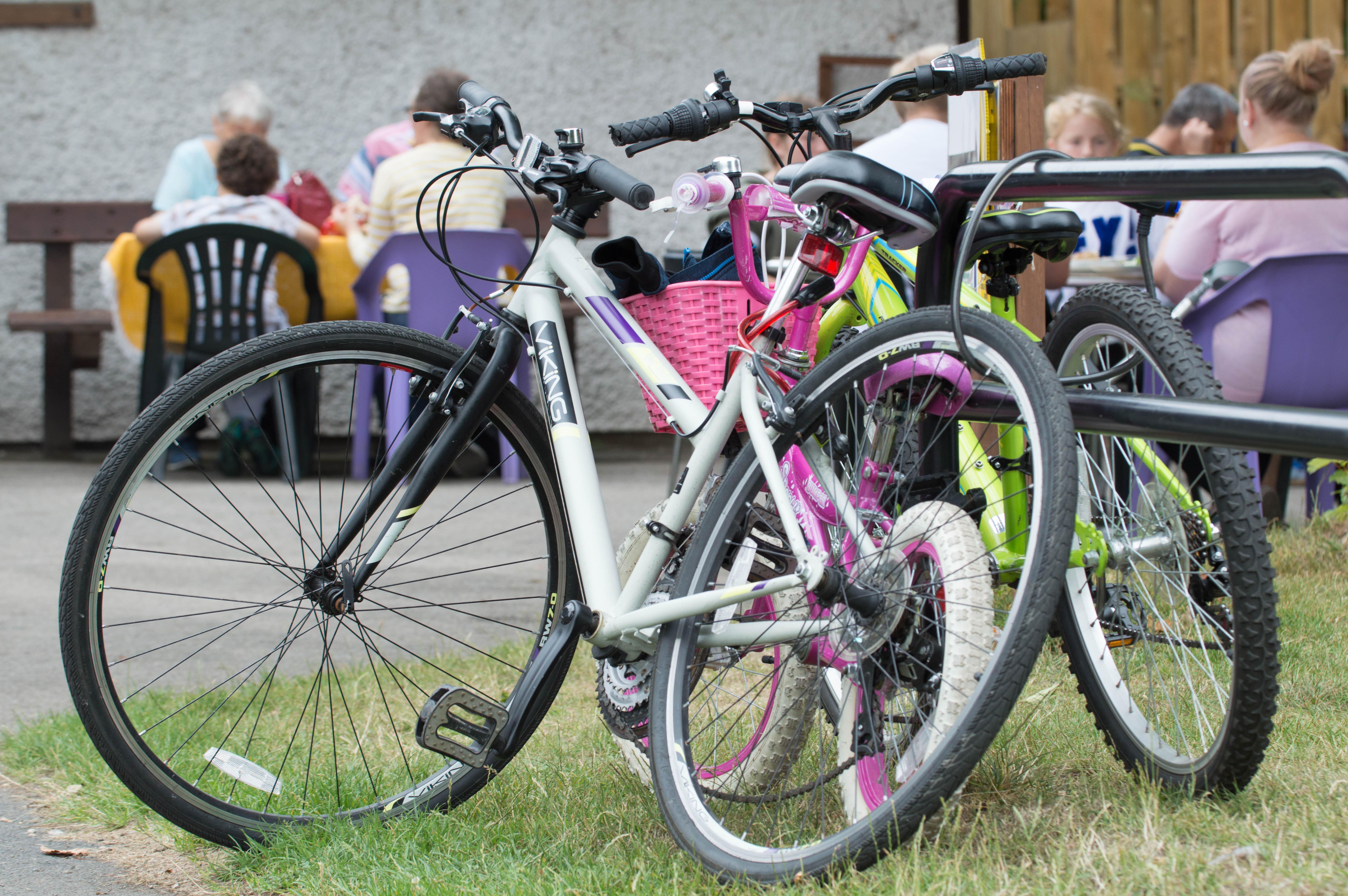 Wyre estuary country park cycling