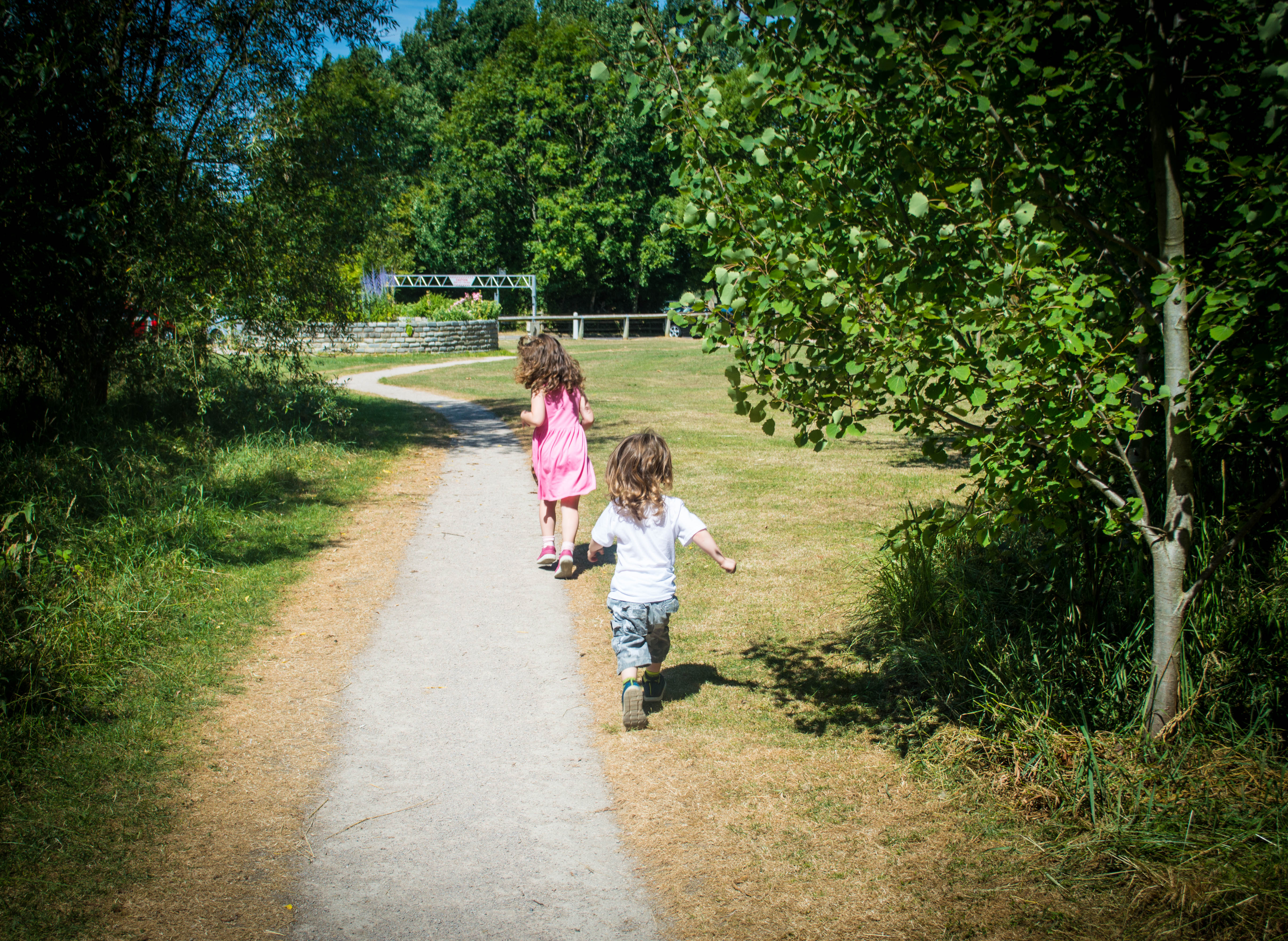 Wyre estuary country park fun at the park