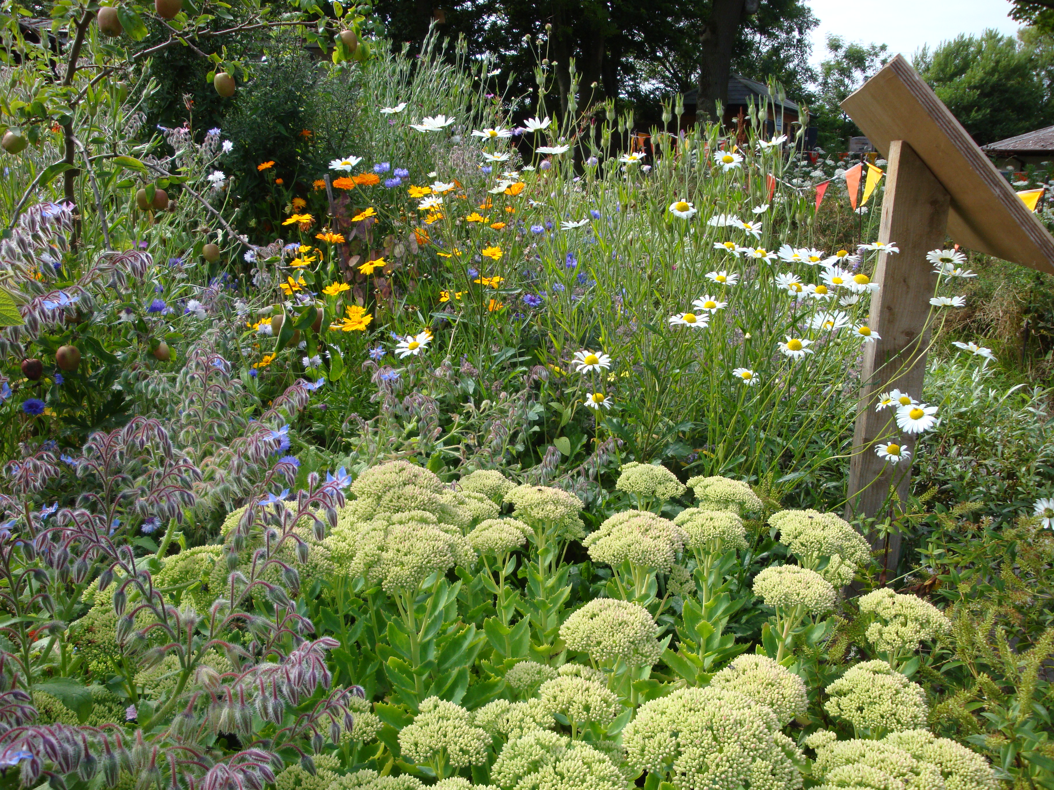 Wyre estuary country park gardens