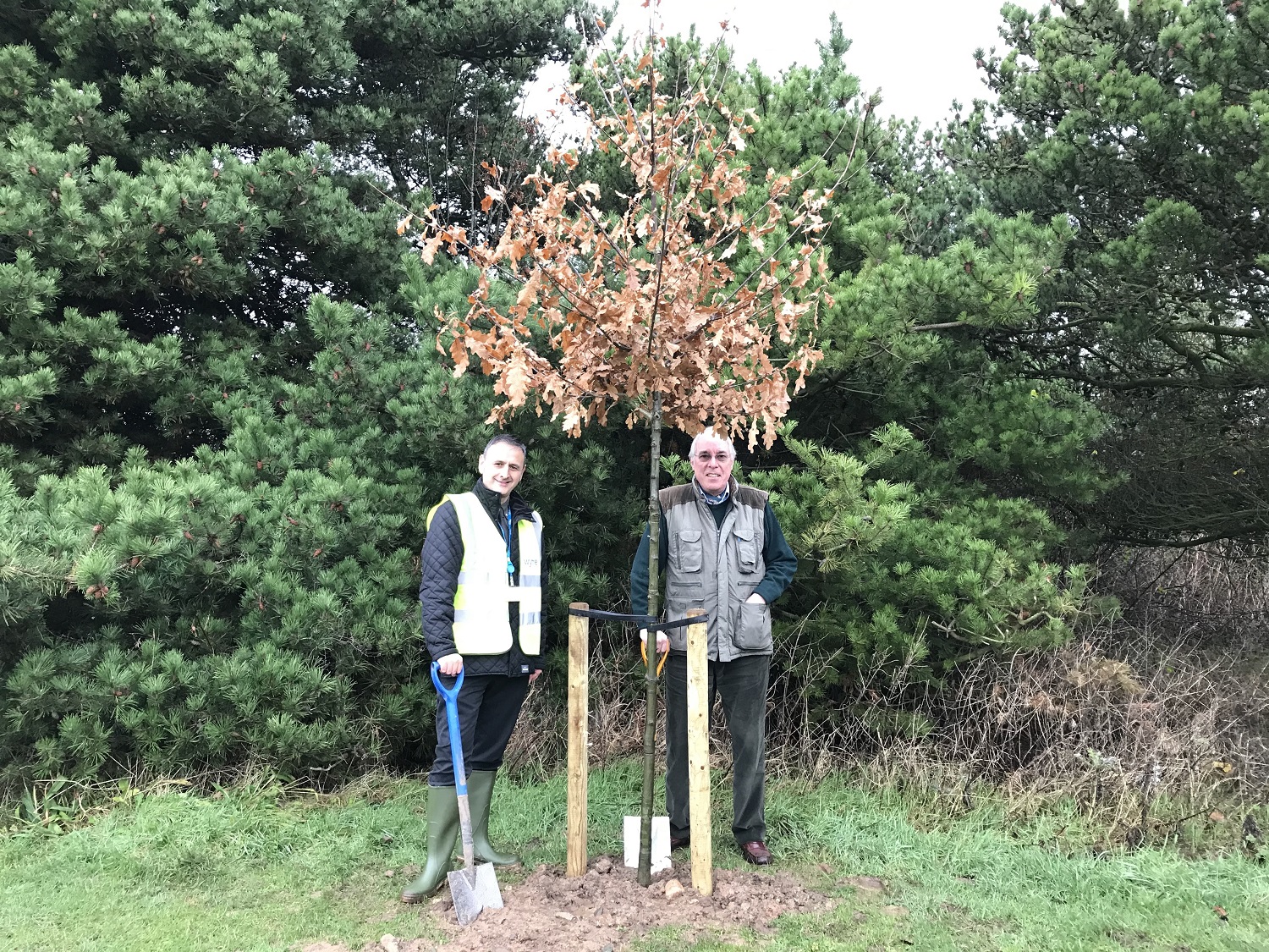 Two men planting a tree