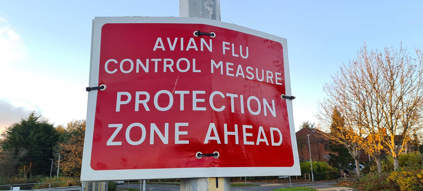 Precautionary measures in place following confirmed Bird Flu case