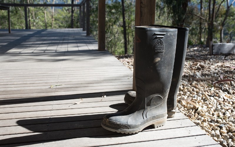 Wellies on woodland ground.