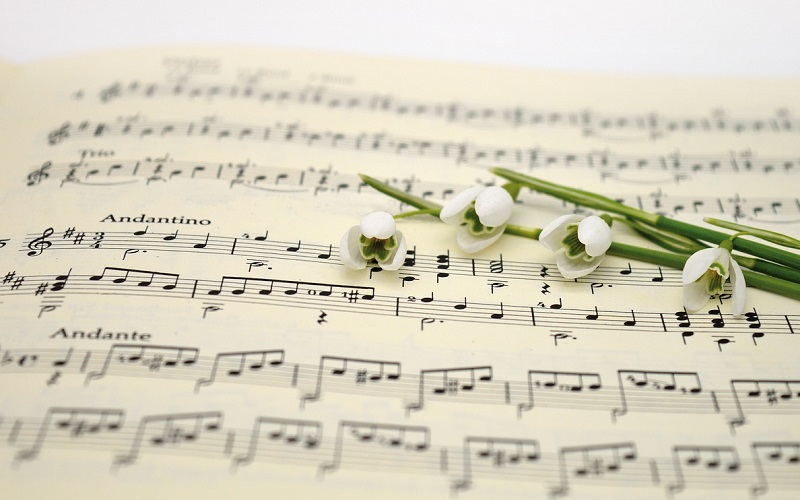 Sheer music close up with white flower placed on top.