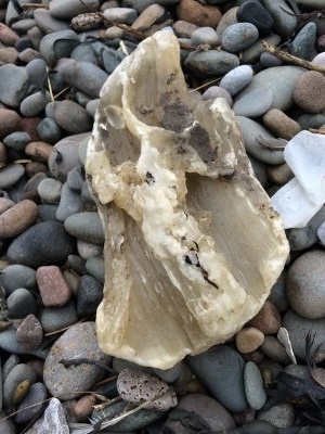 Palm oil chunk on the beach