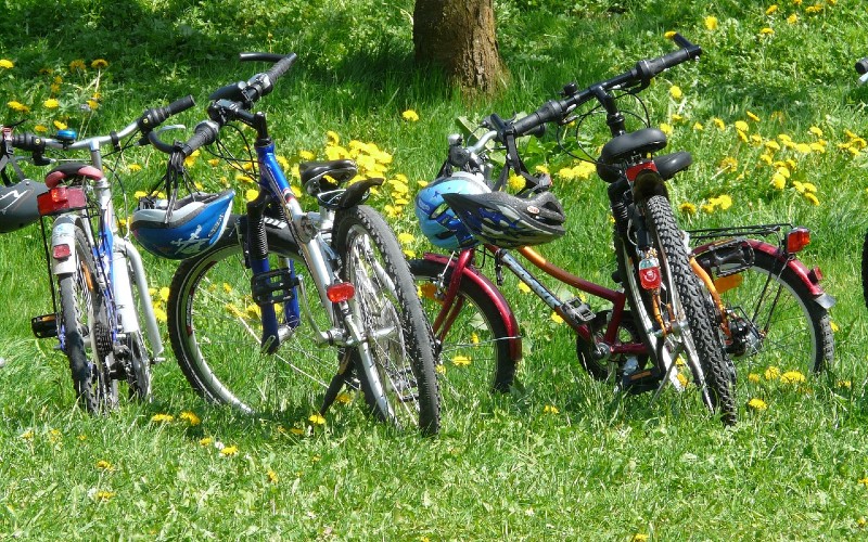 Bikes in a row in some grass.