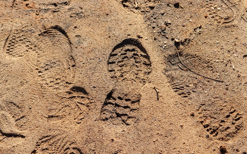 Numerous shoeprints in sand.
