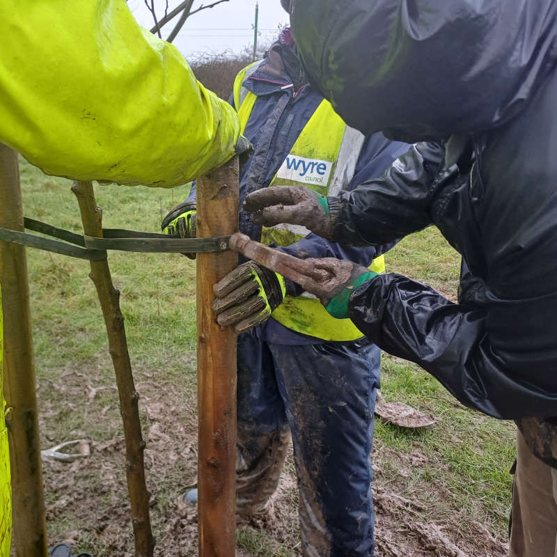 3 people in high vis planting a tree