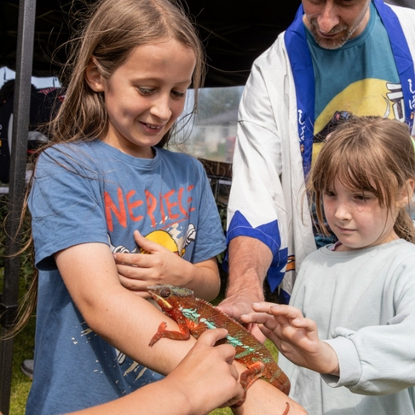A child with her arm outstretched holding a lizard.